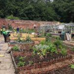 Carpentry Skills Help Bring Historic Walled Garden Back to Life